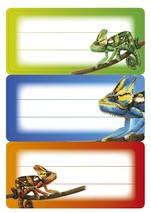 Schuletikette Gecko