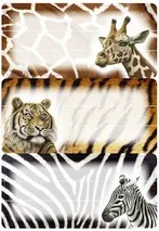 Schuletikette Afrika. Tiere
